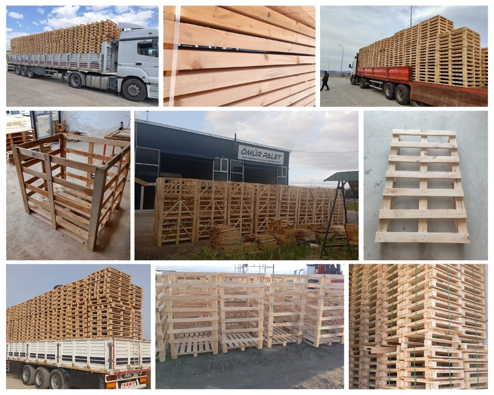 Seaford Wooden Pallets, Buy Wooden Pallets Wholesale